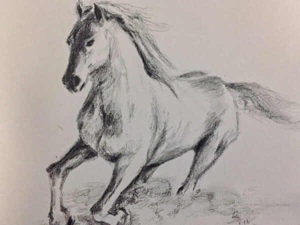 Bild Sad horse Bleistift auf Papier