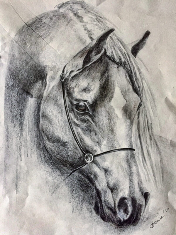 Bild Sad horse Bleistift auf Papier
